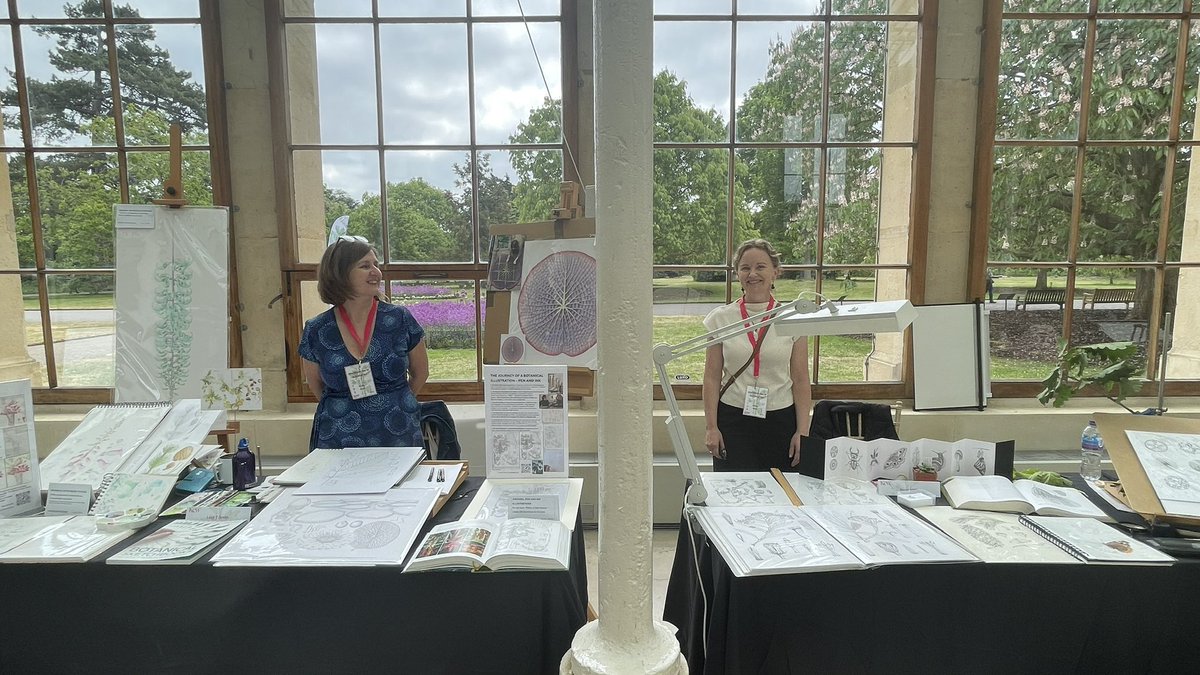 Botanical Art and Artists tweet media