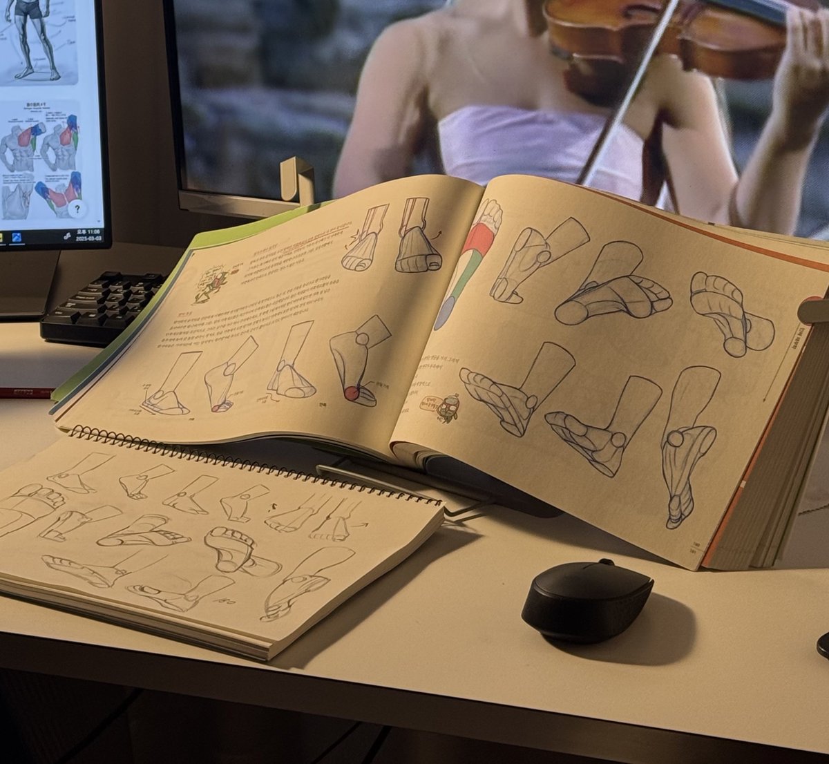 🦭_ (@moooolgae) on Twitter photo 