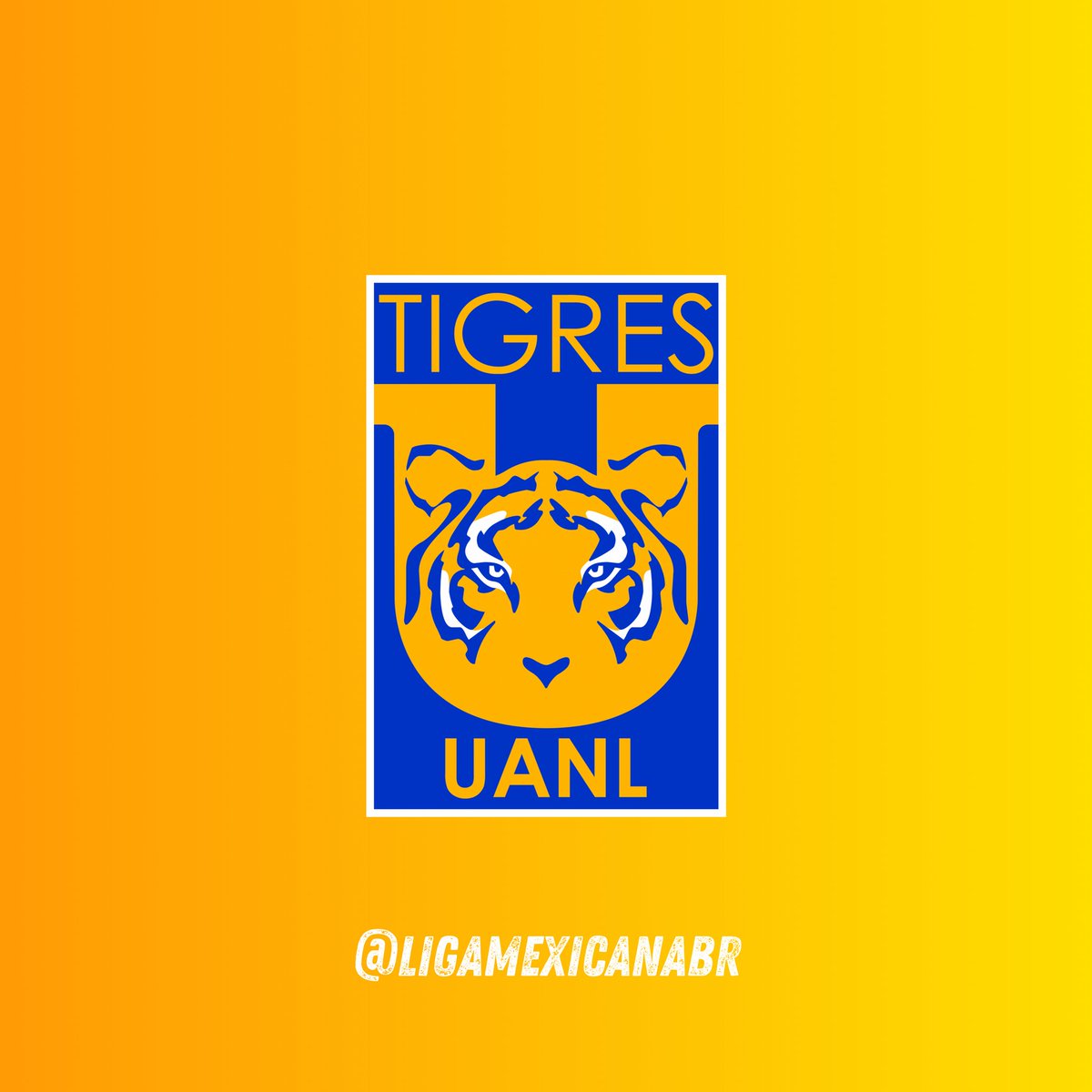 LIGA MX BRASIL 🇲🇽🇧🇷 tweet media