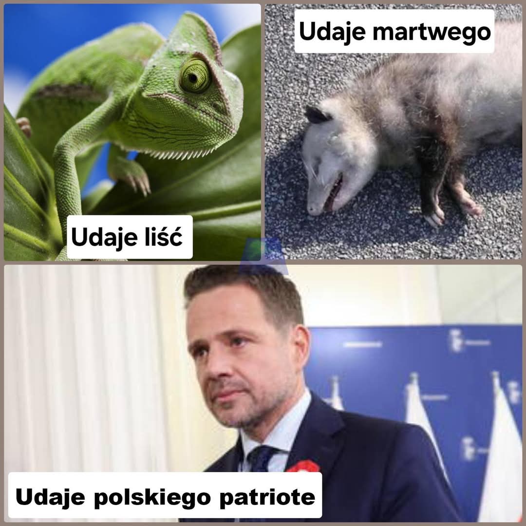 GrTiTBAXIAAOX2u