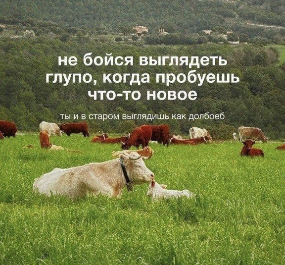 со вкусом депрессии tweet media