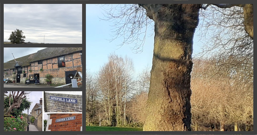 Faversham Society (@favershamsoc) on Twitter photo The Faversham Walking with History Guided Walks are partnering with <a href="/favershamtc/">Faversham TC</a> to promote the health benefits of active travel.
Find out more at the Active Travel Festival on Faversham Rec on Sunday 1 June or pop into the Visitor Information Centre.
favershamsociety.org/guided-walks/ The Faversham Walking with History Guided Walks are partnering with <a href="/favershamtc/">Faversham TC</a> to promote the health benefits of active travel.
Find out more at the Active Travel Festival on Faversham Rec on Sunday 1 June or pop into the Visitor Information Centre.
favershamsociety.org/guided-walks/