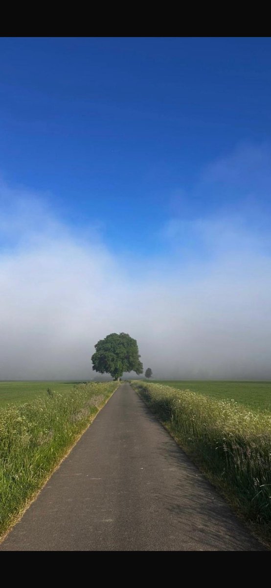 Joostprive's tweet image. Foto van mijn zoon vanochtend op de fiets naar #Doetinchem. #zovaderzozoon @helgavanleur @Weerplaza @RTL4