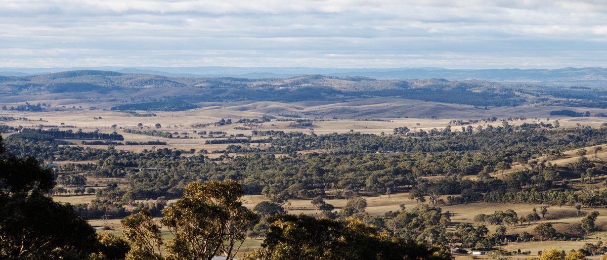 When I'm not working on developing a video game, I like to go outside, walkie and take photos every so often.

This was at a place called One Tree Hill Trail in Hall in Canberra, Australia :)

#photography #photo #naturephotography #nature #canberra #australia