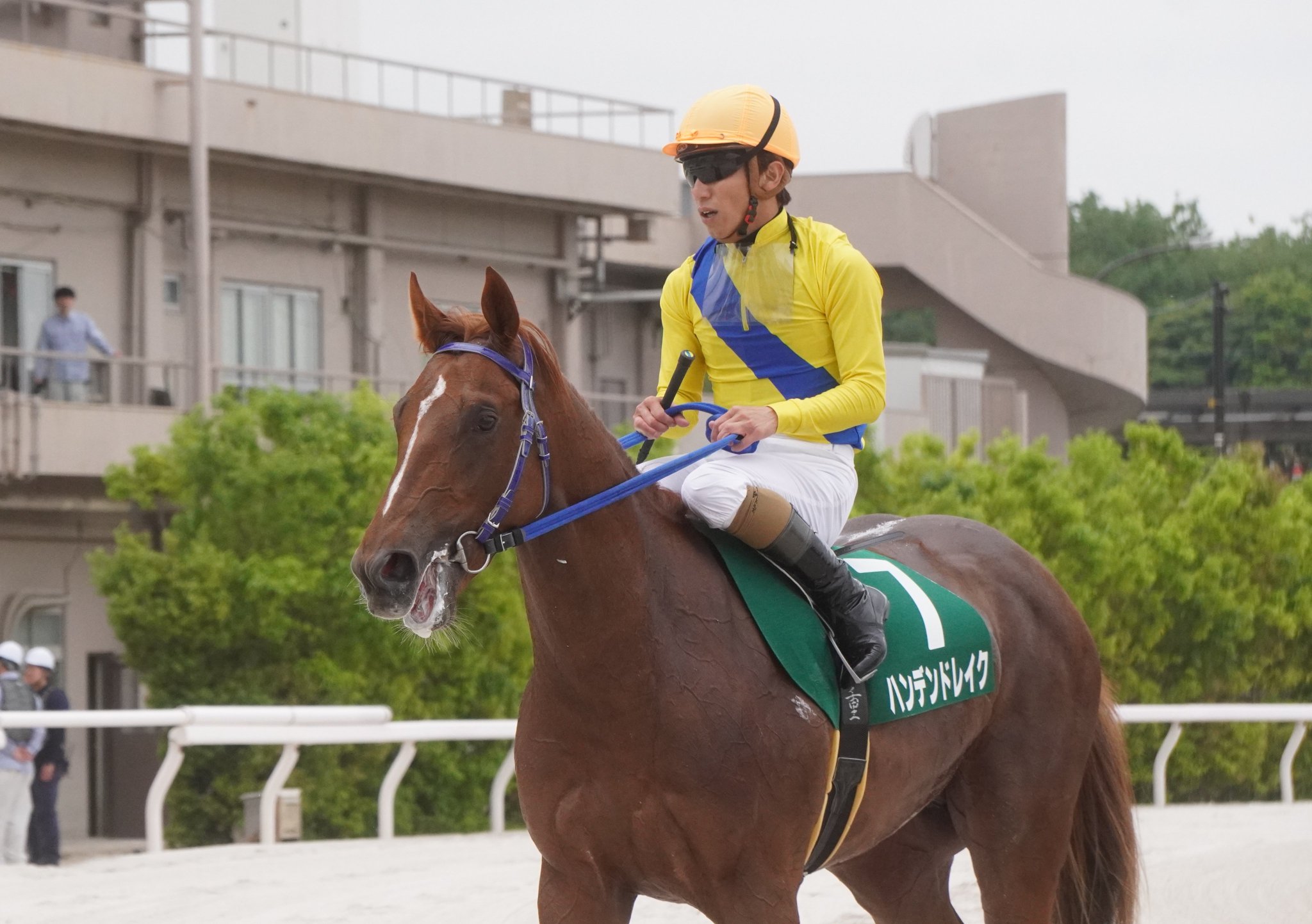 大井競馬場 限定つり革