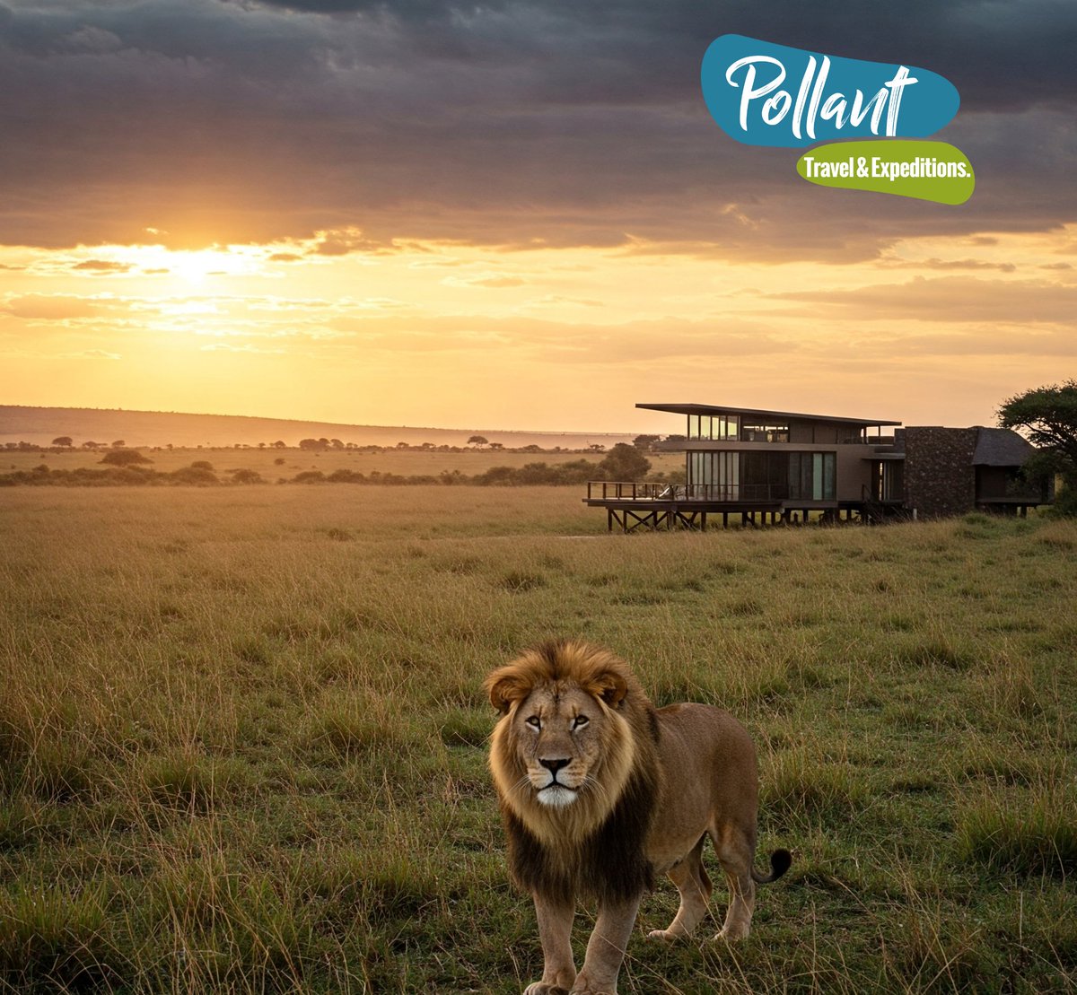 Pollant Travels and Expedition Ltd tweet media