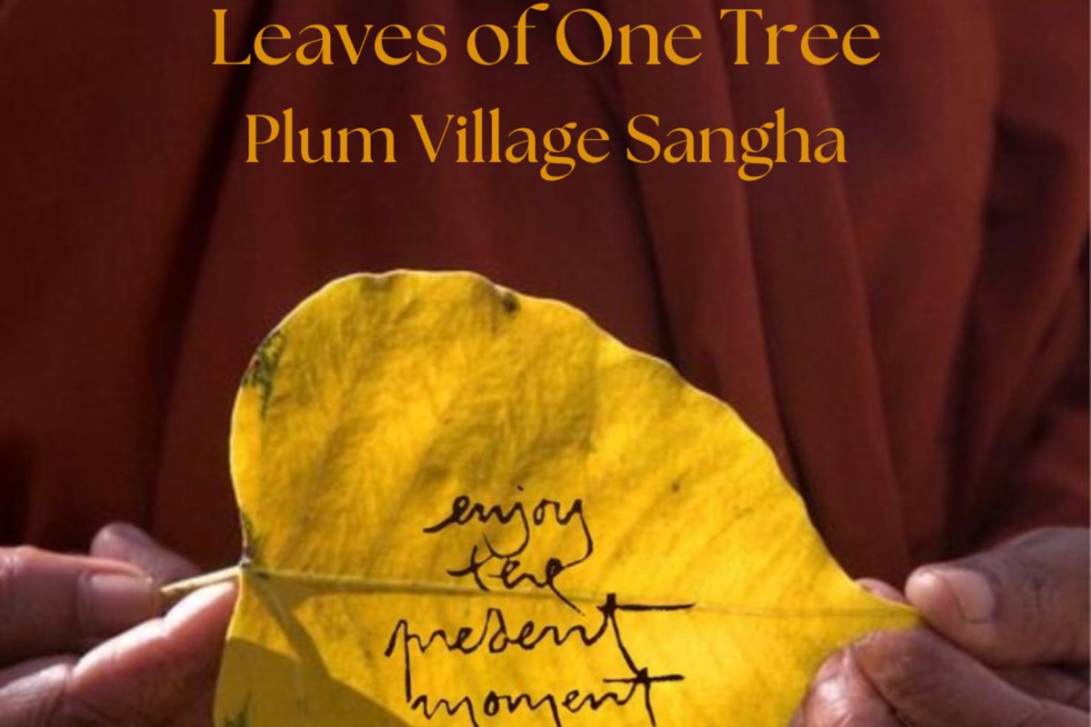 🌿 Mindfulness in Community 🌿

Join Leaves of One Tree Sangha for meditation, walking &amp; sharing

🗓️ Sun 1 June | 5:30–7pm
📍 Maitri Studio, East Belfast
All welcome – no experience needed

🔗 maitristudio.net/events/sangha-…

#Mindfulness #PlumVillage #EastBelfast #MeditationTogether