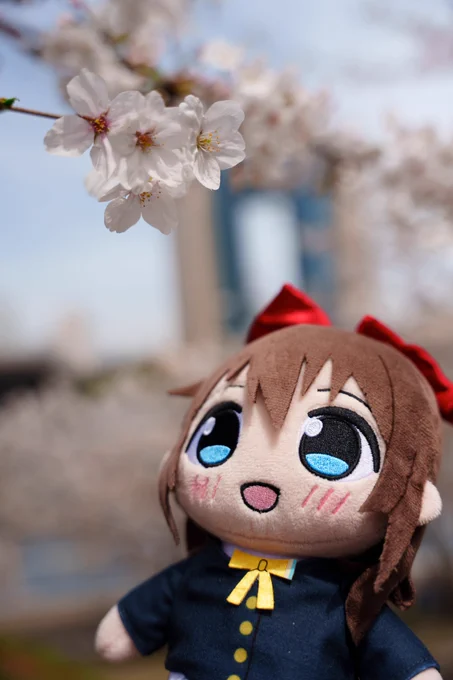 みんなカメラ買って推しとか撮ろうぜ… 