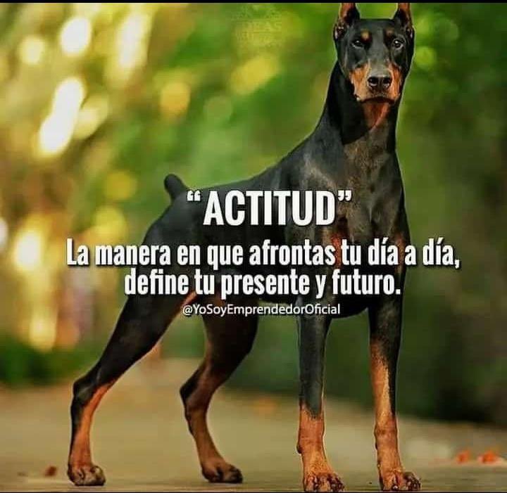 Sebastián Carbajal 🇺🇾 tweet media