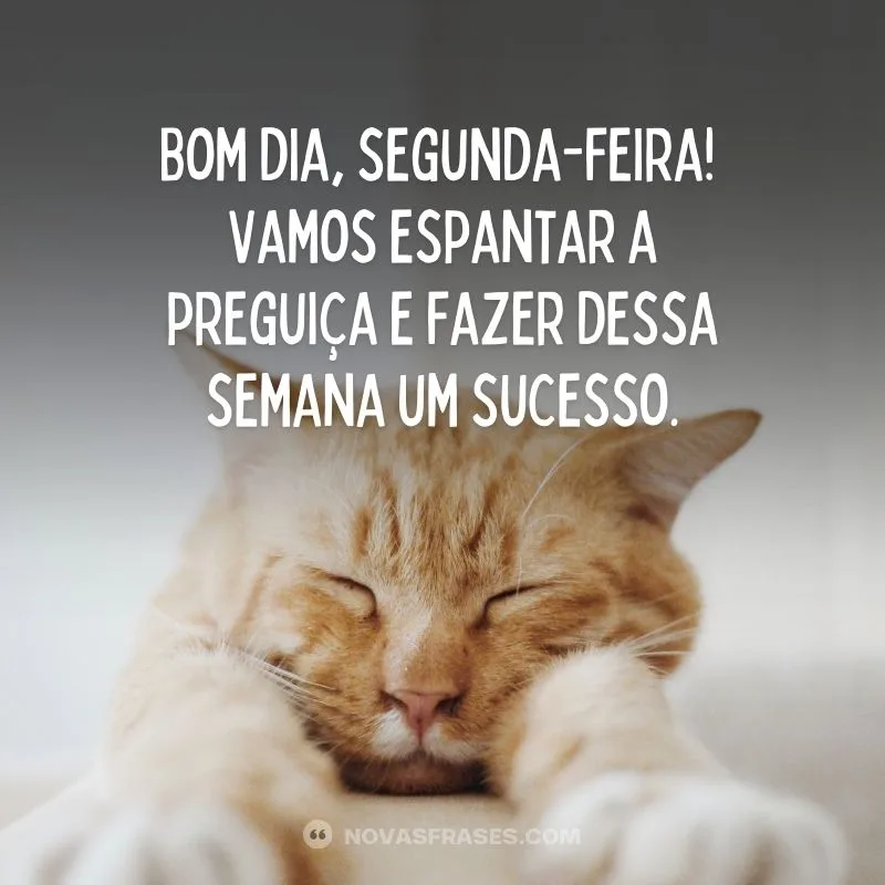 Bom dia gentes. 
Lá vamos nós de novo.