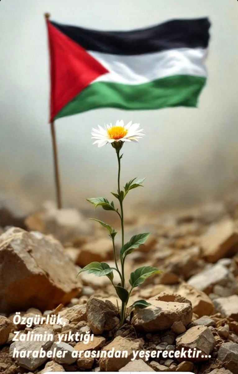 Derler ki; 
İnsanın ruhuna erişeceksen, 
Gönlüne yarasından girmelisin!
Zîra önemli olan, dünyaya aynı açıdan değil
Aynı acıdan bakabilmektir...

#FreePalestine