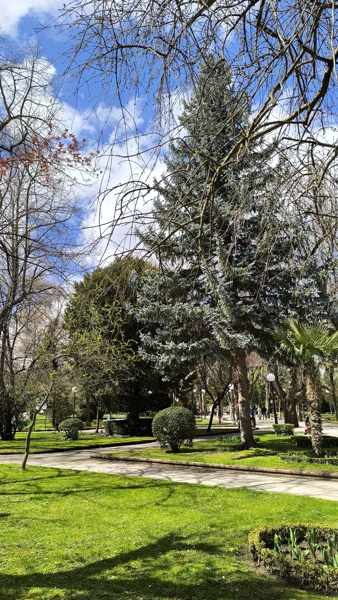 EncryptOG's tweet image. GM if you GM ☀️☕