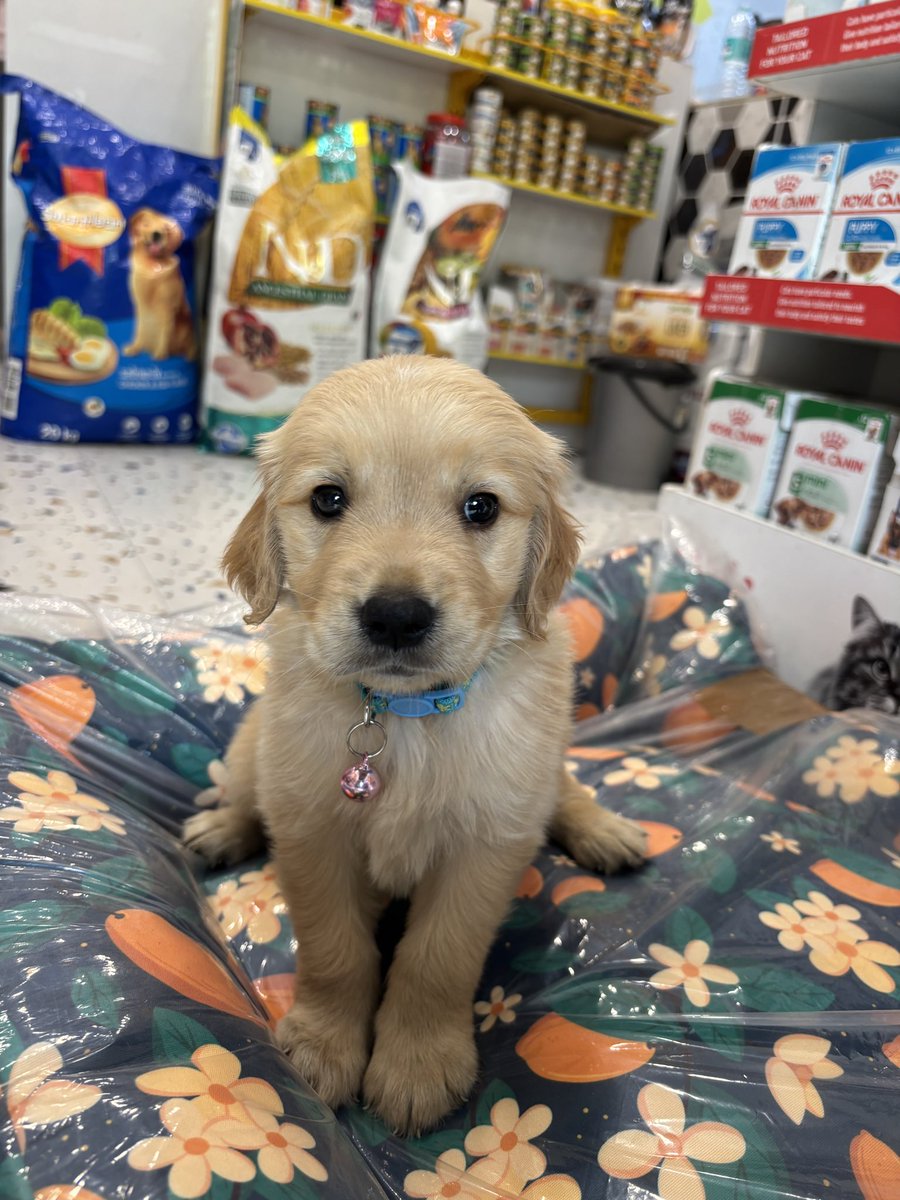 Prince.coti ⛓️ tweet media