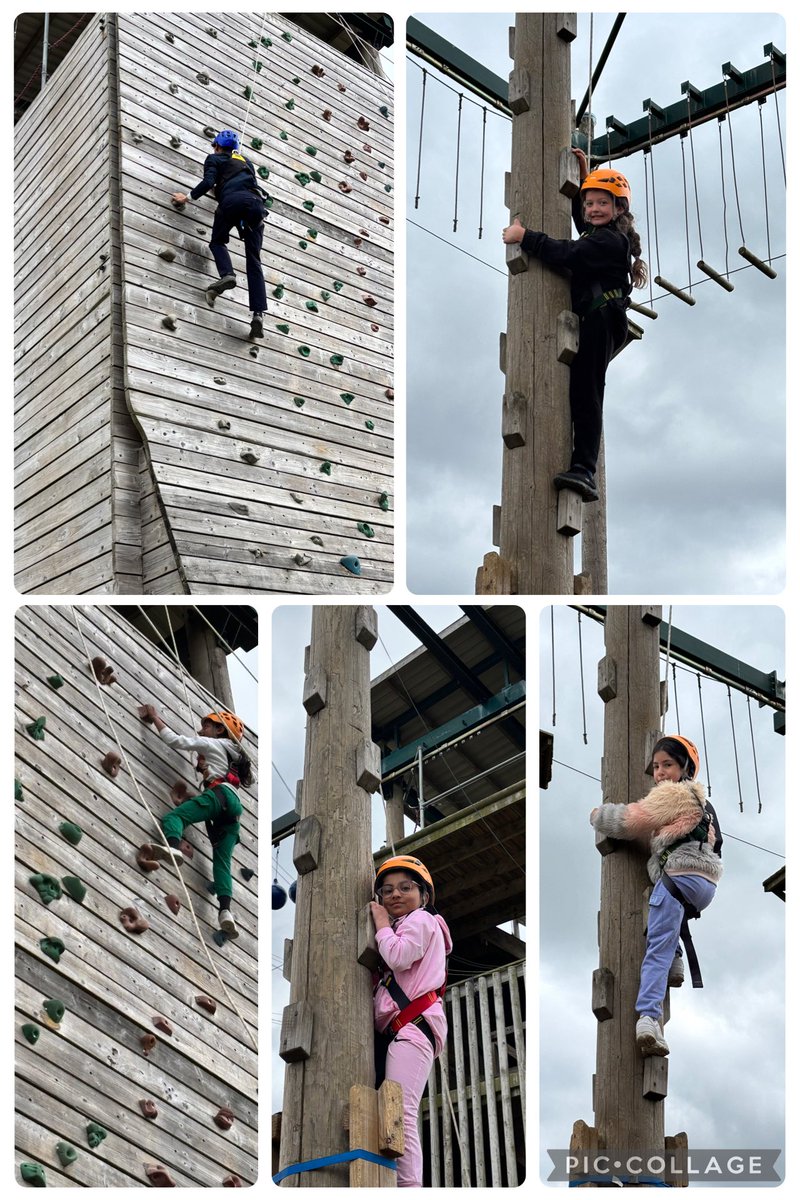 Y4H doing an amazing job this morning!! Lots of resilience needs to climb up high