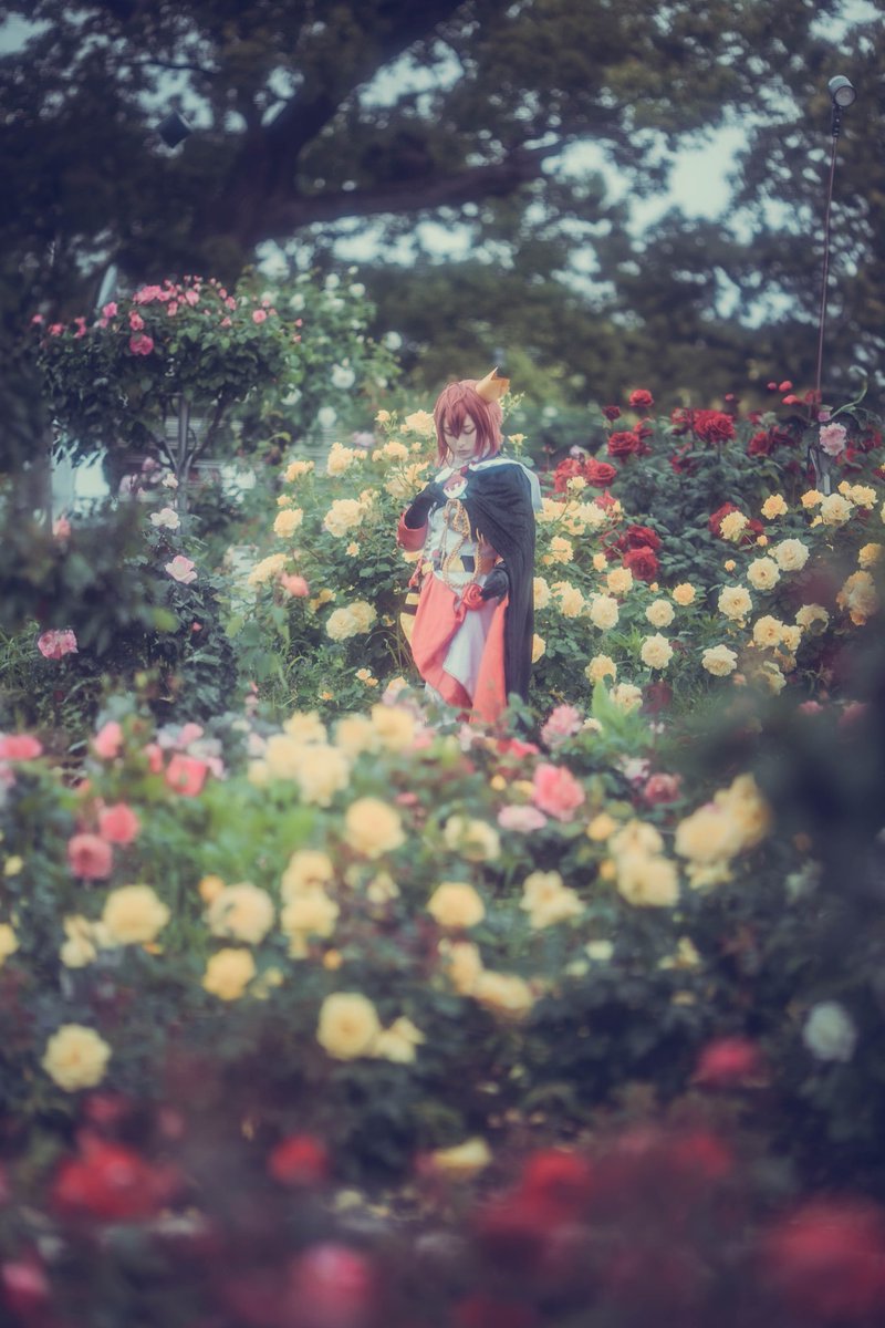 cosplay

twst リドル

photo <a href="/ebifly110/">えびふらい</a>