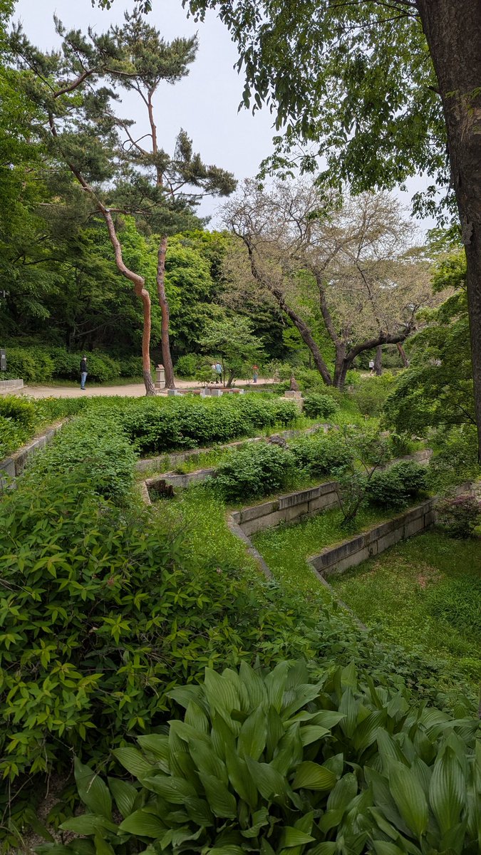 endless G1 tweet media