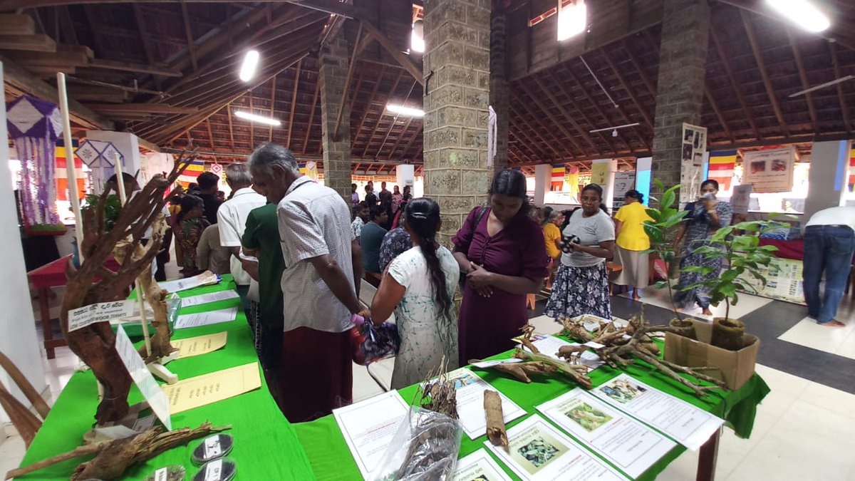 Patikiri-Kumbalathara Foundation tweet media