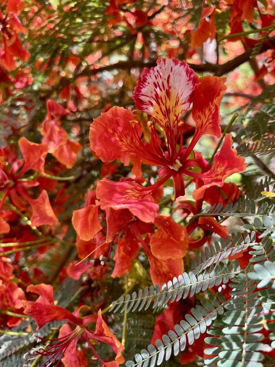 #عالم_ألوان