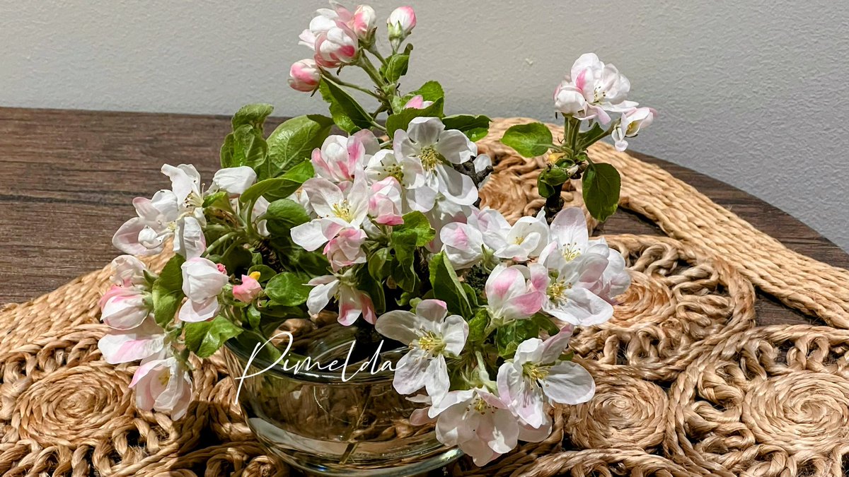 ImeldasArt1's tweet image. #MondayMorning Wishing you a wonderful day ahead!  #longweekendvibes