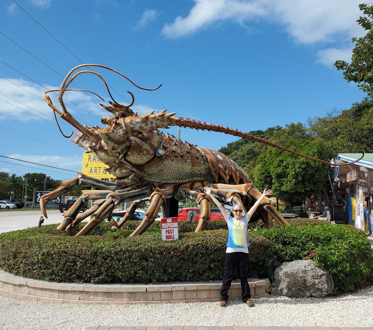 This week, "It's a quest. It's a quest for fun!" it's #Top4Theme #Top4RoadTrips -share your pics-tag <a href="/obligatraveler/">obligatory traveler</a> 
Road Trips through...
The Redwoods
NJ to NY (Paterson Great Falls NHP stop)
Road to Hana - Maui-Hawaii
Miami to The Florida Keys (Betsy the Lobster stop)