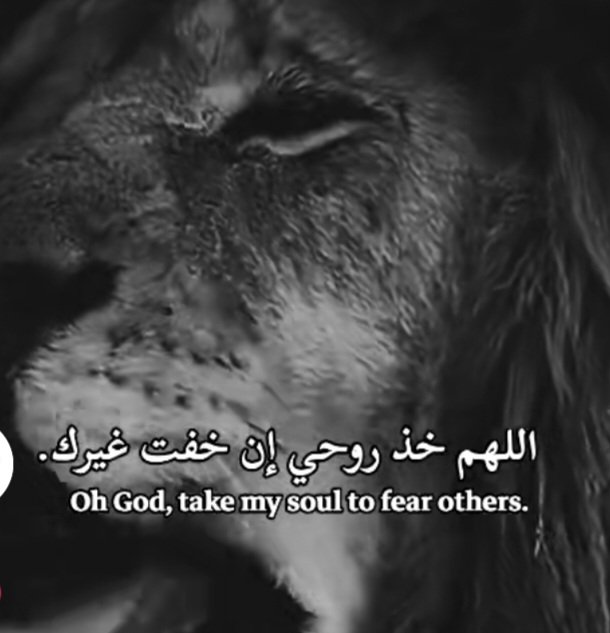 ☝️✊❤️Elsayed Rayd❤️✊☝️ tweet media
