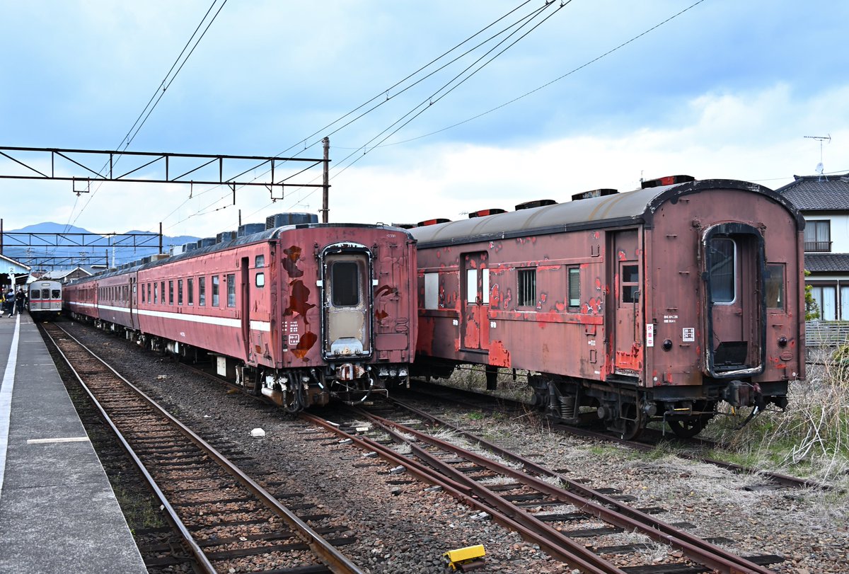 og8です。江戸川区または、御宿で手渡し限定です。 コーストライン og8です。江戸川区または、御宿で手渡し限定です。 コースト