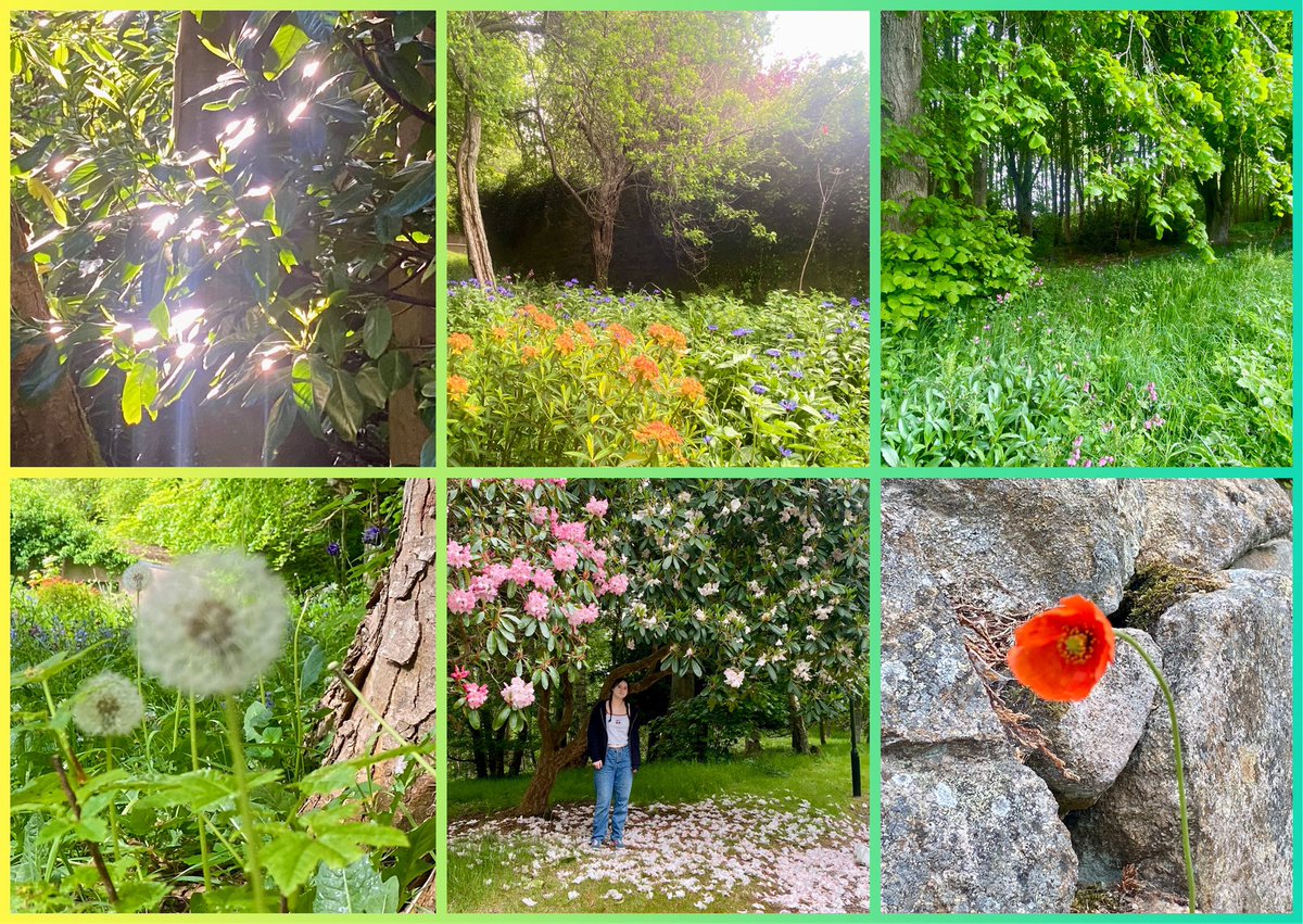 JudeMckerrecher's tweet image. #Tinymomentsofjoy🫶in precious time with Grace in a beautiful place; seeing her creativity &amp;amp; her enjoyment of bullet journaling; making bracelets together; nature; FaceTiming my dad &amp;amp; sister with Grace; fresh countryside air; time to pause, relax &amp;amp; be with a cherished daughter❤️