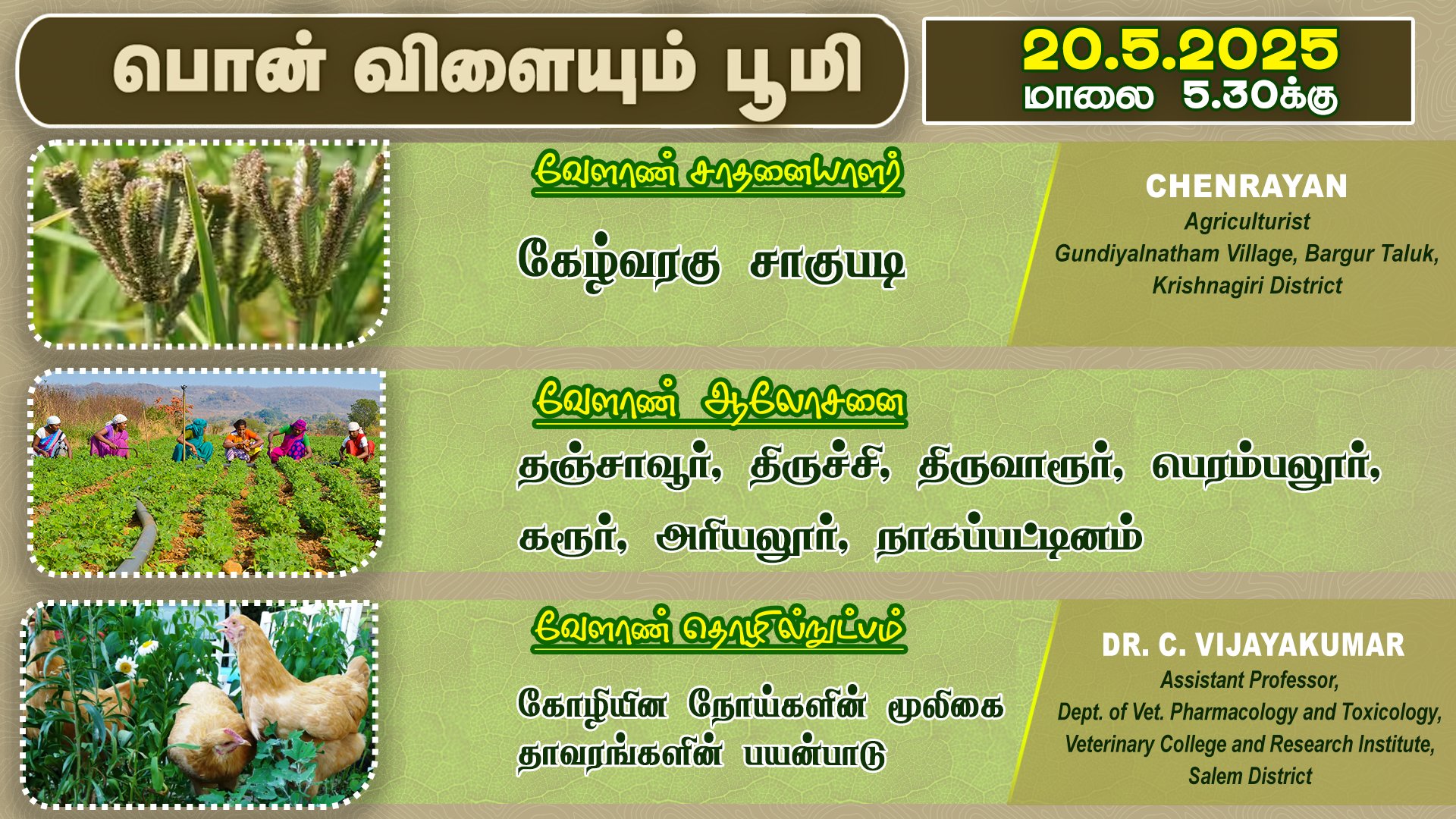 DD Tamil on X: