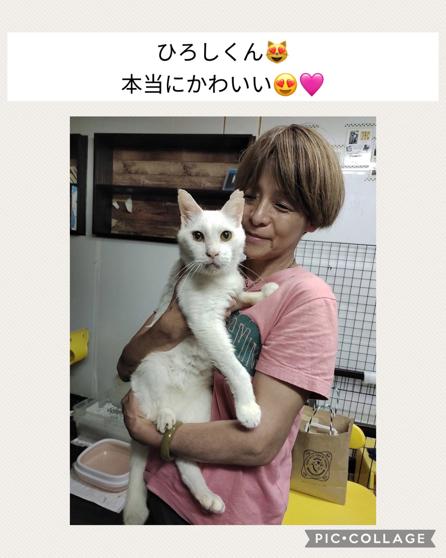一般社団法人動物レスキューチームうーにゃん (@teamu_nyan) / X