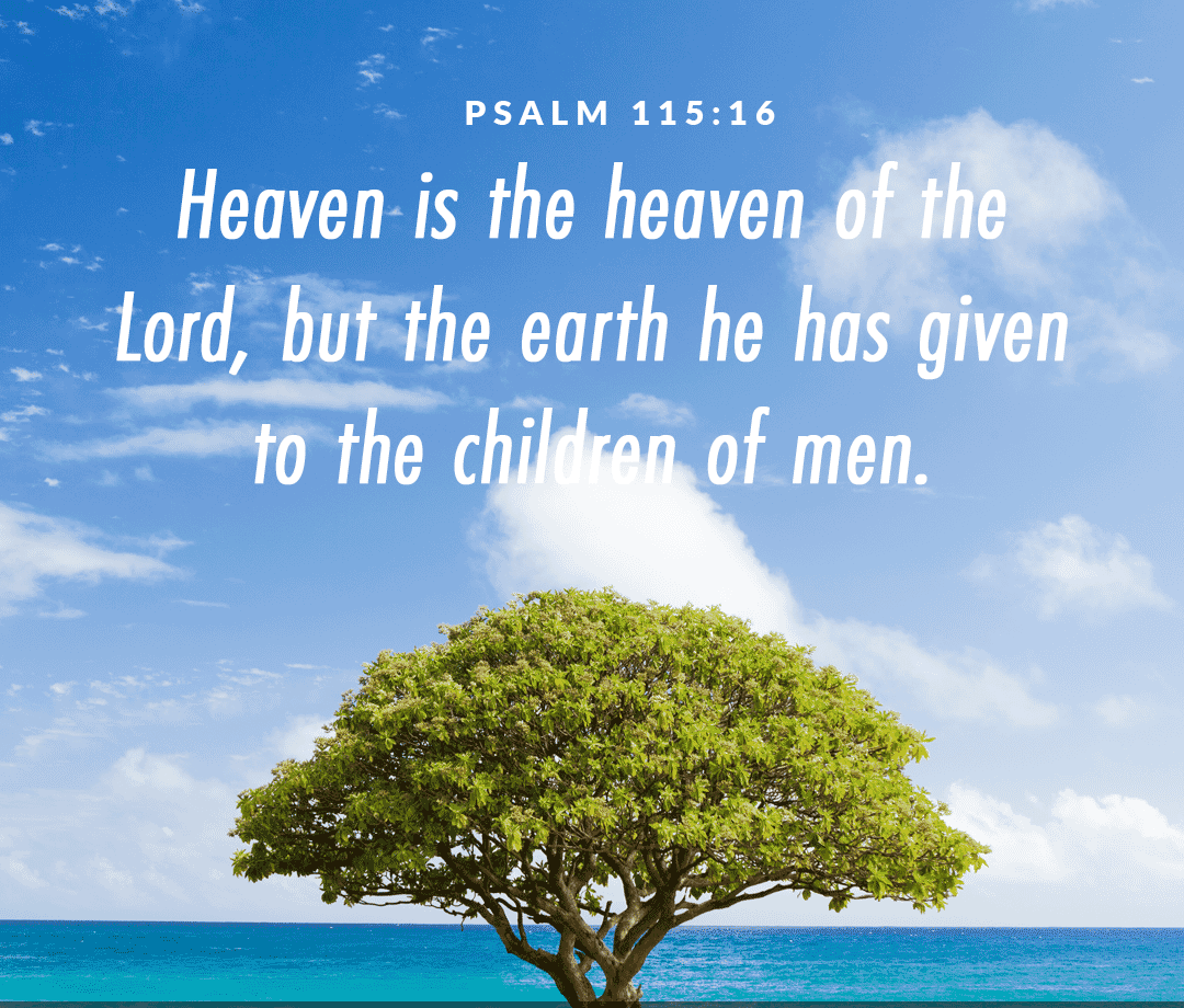 StJamesWab's tweet photo. #catholicreflections#livingtheword#stjameswabash https://t.co/eMZQBlvLyT