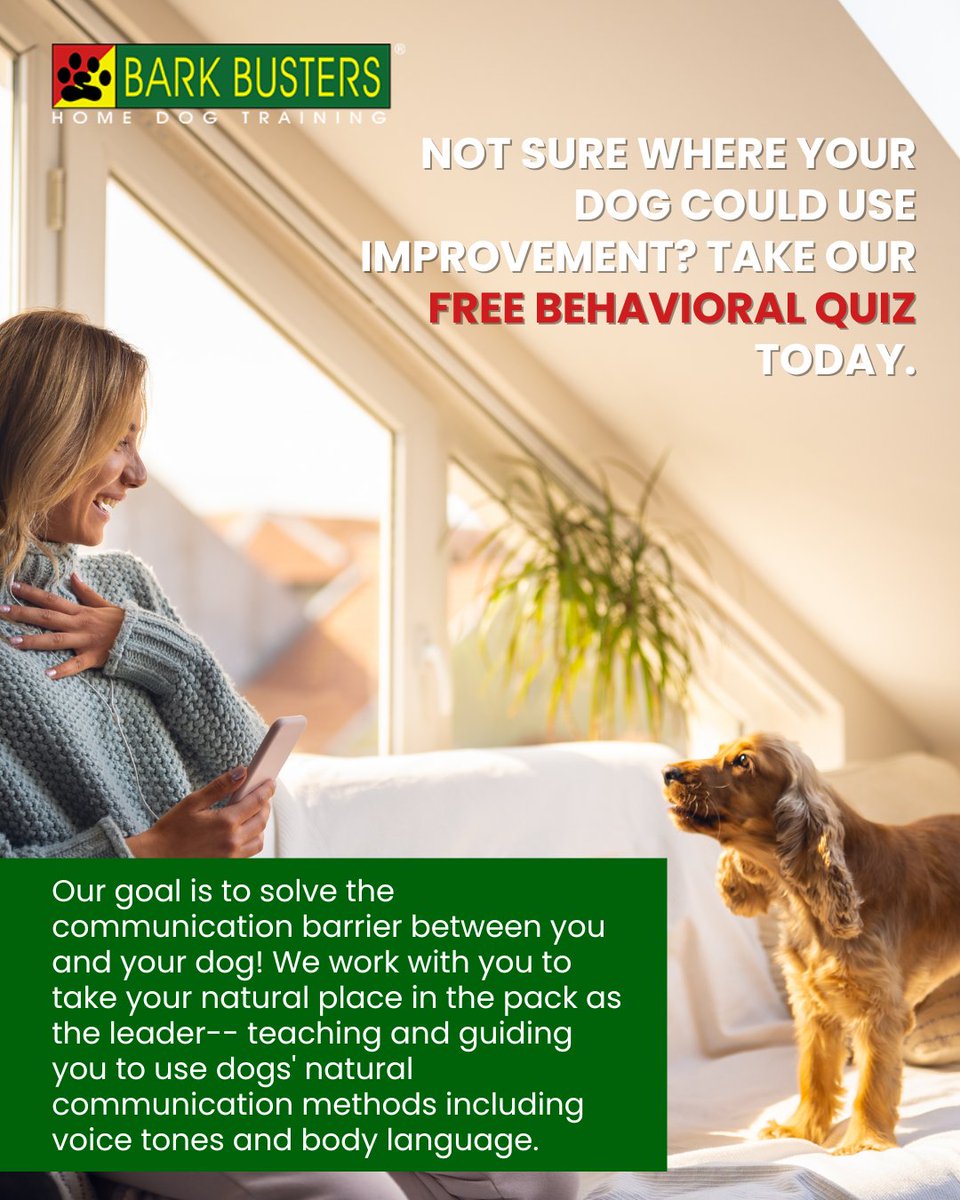 barkbusterla's tweet image. 🐶🎯 Ready to fix the barking, jumping, or leash pulling? We come to you with proven, dog-friendly solutions! 🏡🐾 Learn more: barkbusters.com/dog-training/g… #DogBehaviorHelp #PawsitiveResults