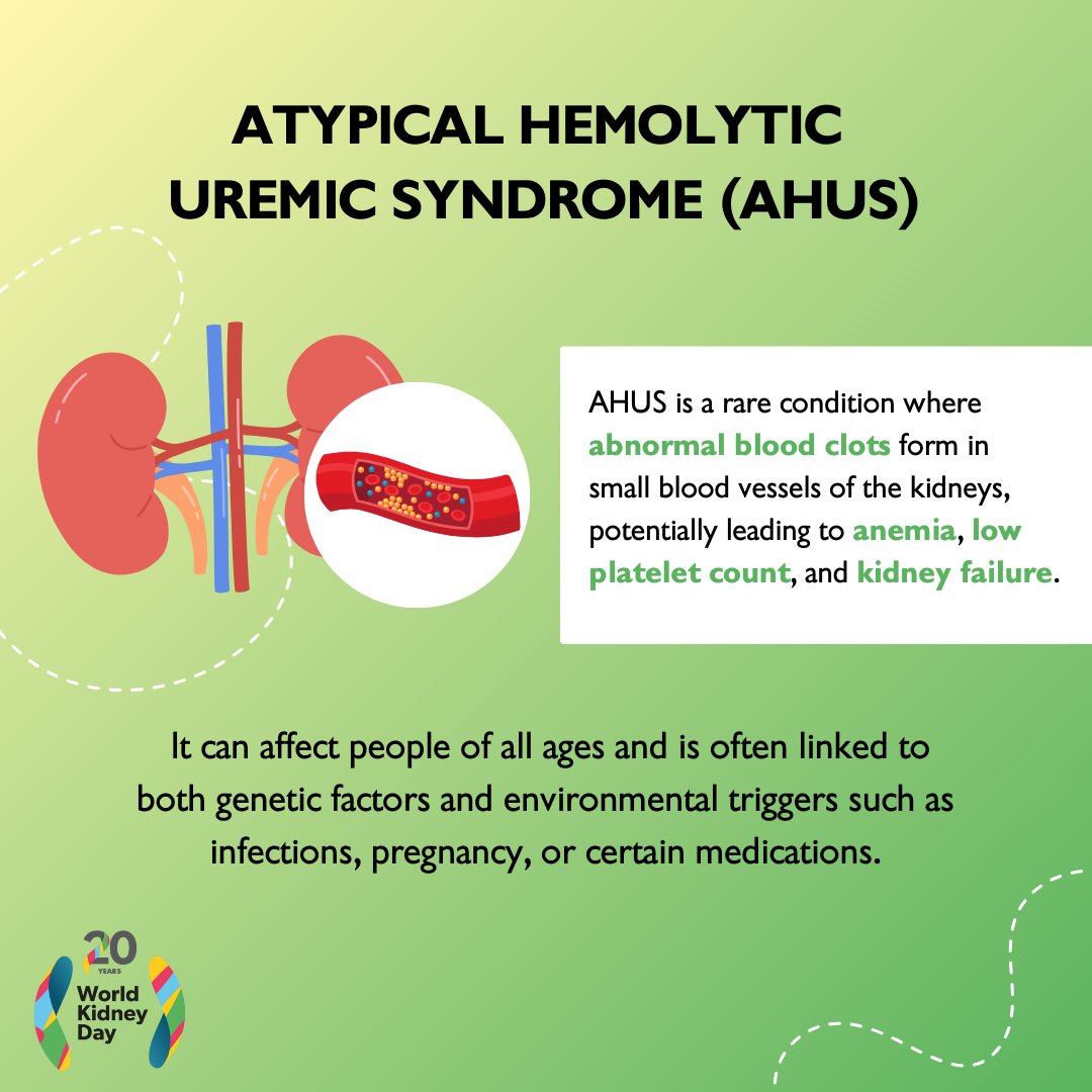 Atypical hemolytic uremic syndrome (aHUS) is one of 150+ rare kidney diseases - often silent and hard to diagnose. Symptoms may appear only after serious damage. Early detection is key to protecting kidney function.

🔎 worldkidneyday.org/2025-campaign/

#WorldKidneyDay  #AreYourKidneysOK