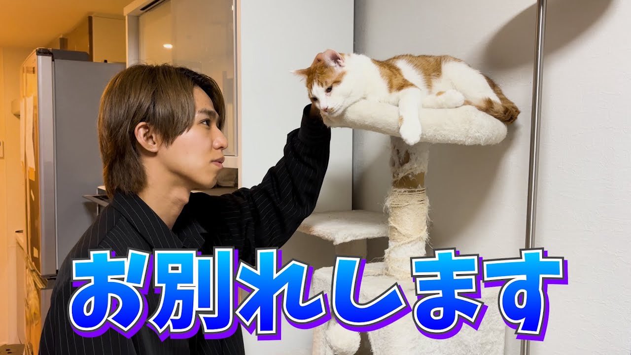 タロー社長 (@taroshacho) • Instagram photos and videos