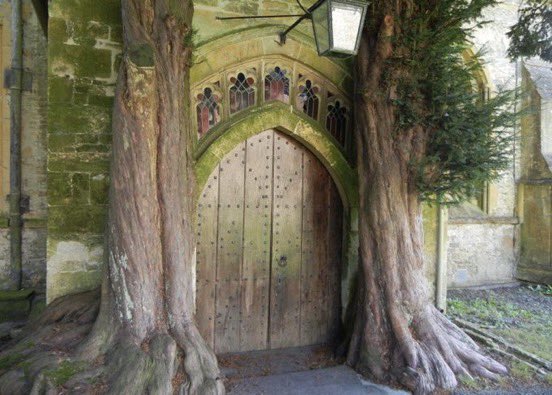 MichaelTG09's tweet image. Traditionalism in four steps.  
1. Go to Church.
2. Tend a big garden.
3. Learn a traditional trade.
4. Read old books.