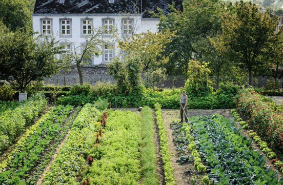 MichaelTG09's tweet image. Traditionalism in four steps.  
1. Go to Church.
2. Tend a big garden.
3. Learn a traditional trade.
4. Read old books.