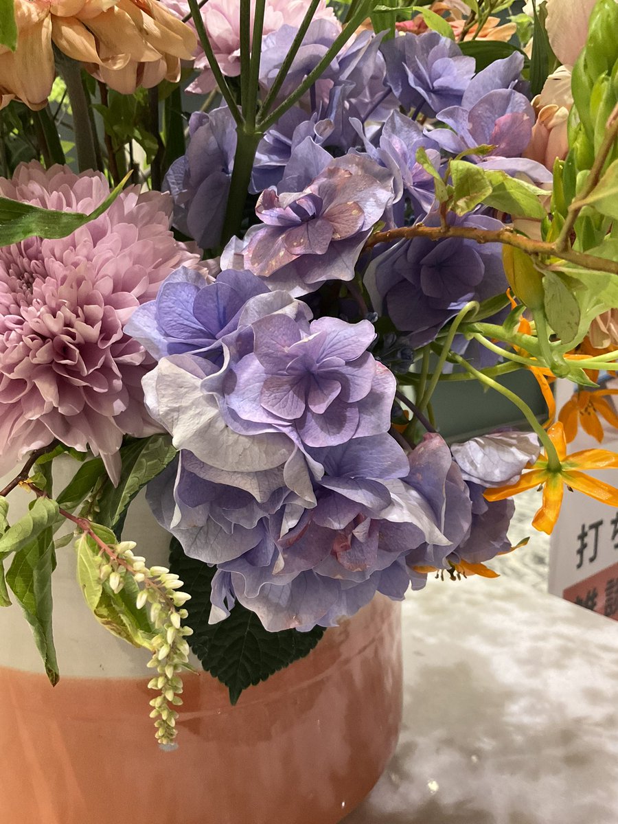 今週の会社のお華
少し可愛らしい感じ
葉の緑が良い感じです