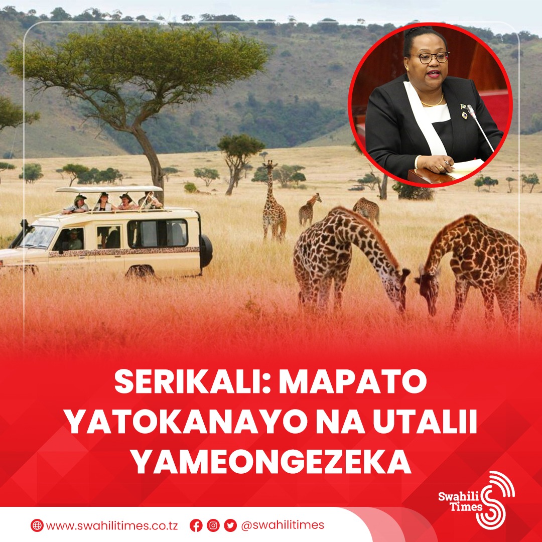 Serikali imesema mapato yatokanayo na shughuli za utalii yameongezeka kutoka Dola bilioni 1.3 [TZS trilioni 3.5] mwaka 2021 hadi Dola bilioni 3.9 [TZS trilioni 10.5] mwaka 2024, sawa na ongezeko la asilimia 200 kwa watalii wa kimataifa.

Aidha, mapato yatokanayo na utalii wa