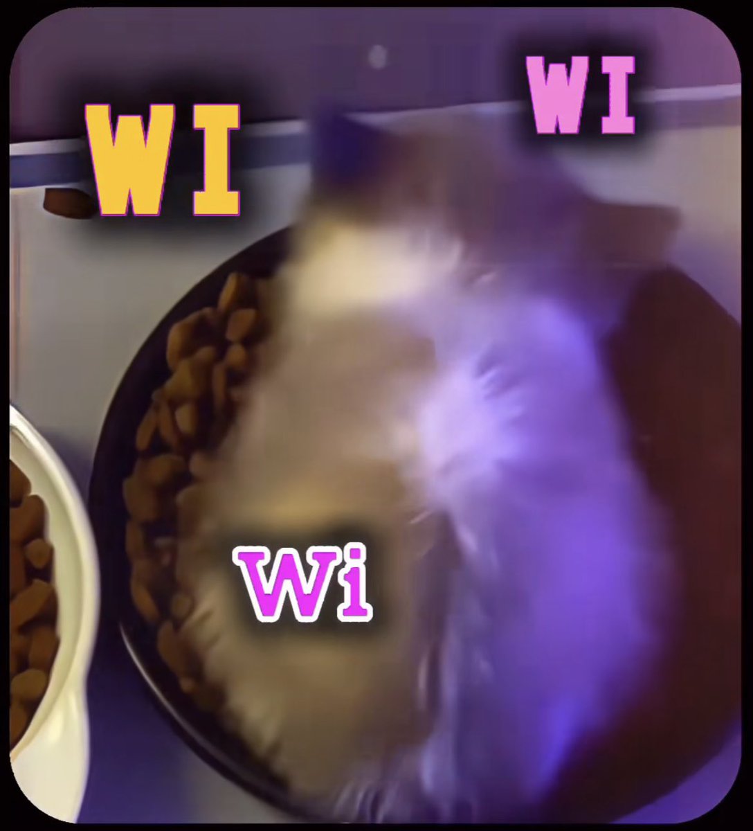 penelope.⠀ ┊ 

hey y’all don’t mind me dipping again x
moving house is taking up the time but things are rolling  properly now 🧍‍♀️