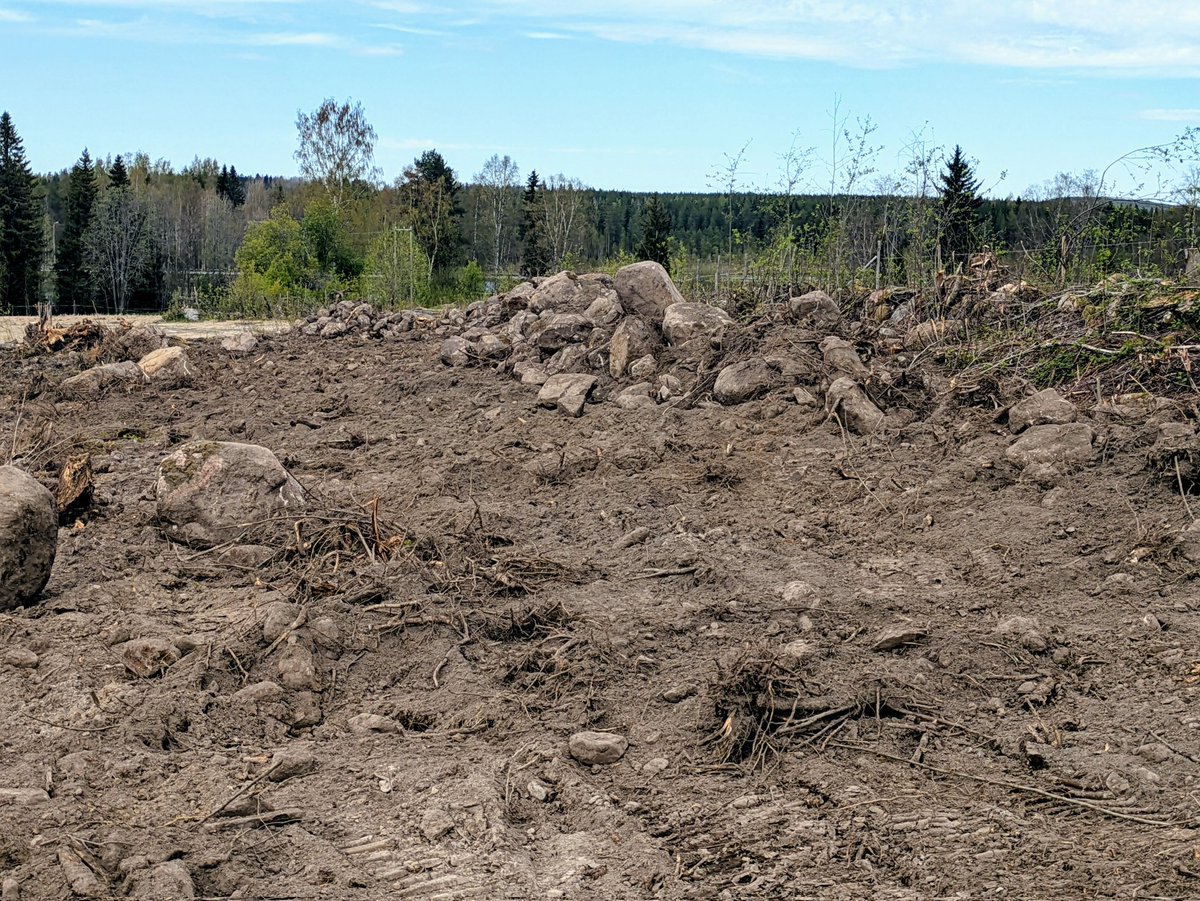 Hiukka meinaa taas olla murikkaa tiellä, kun pellon kulmaa oikaisee.