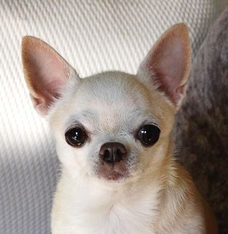 Look at me Look at me
나를 바라봐와와 나를 바라봐와와