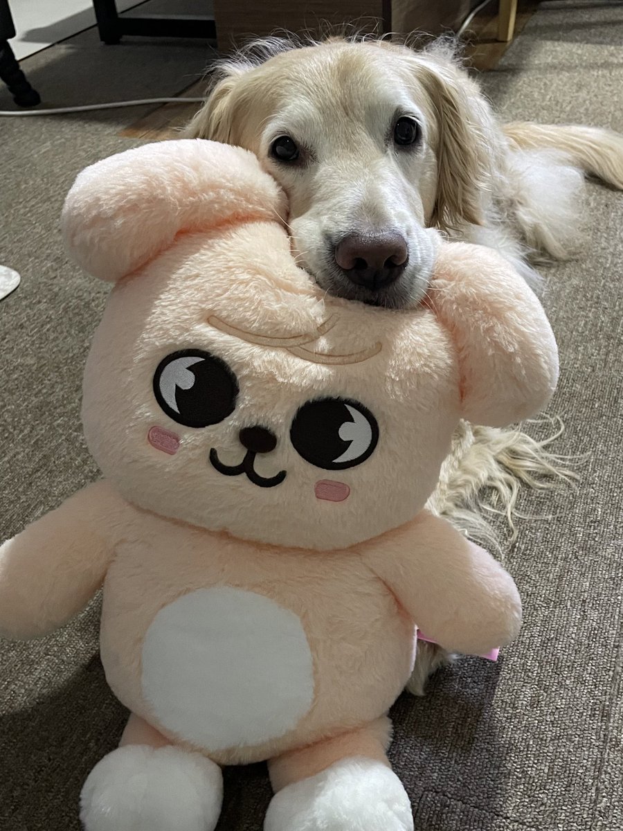 ruby_sm_'s tweet image. 🧸