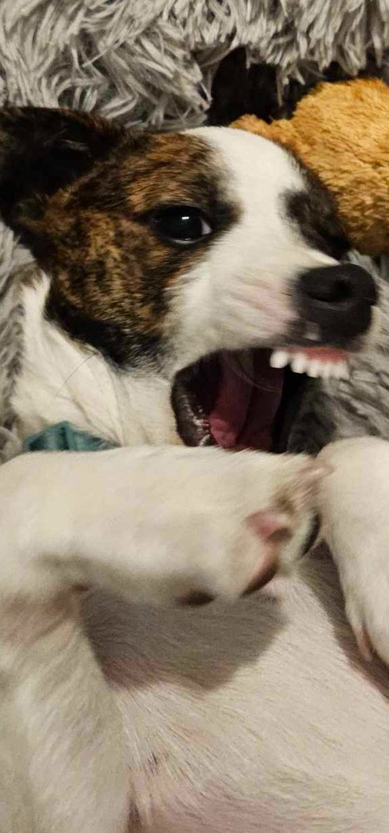 Rebecca Townsend tweet media