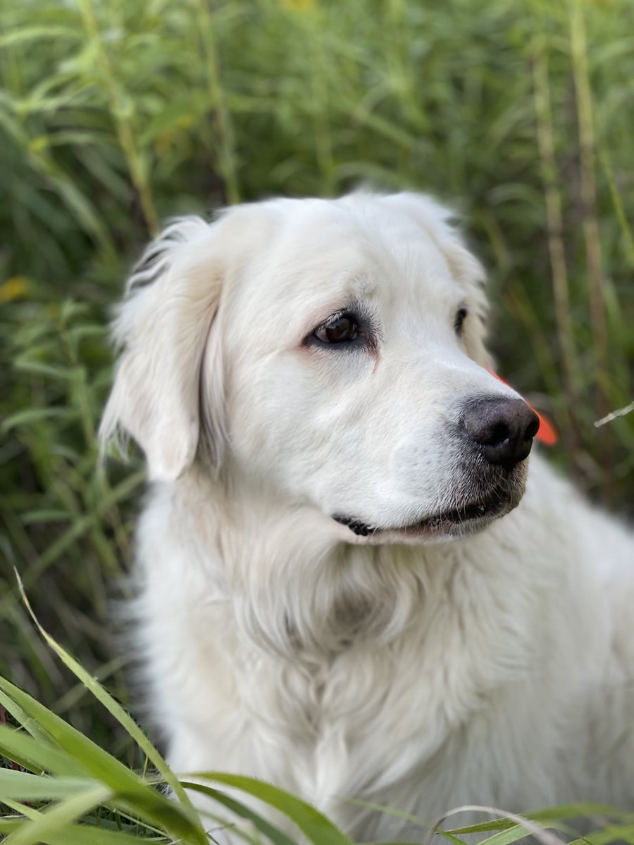 Good morning NorthernTails Nation!  Have a great day!