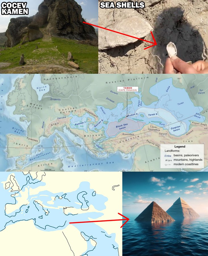 Open Minded Approach tweet media