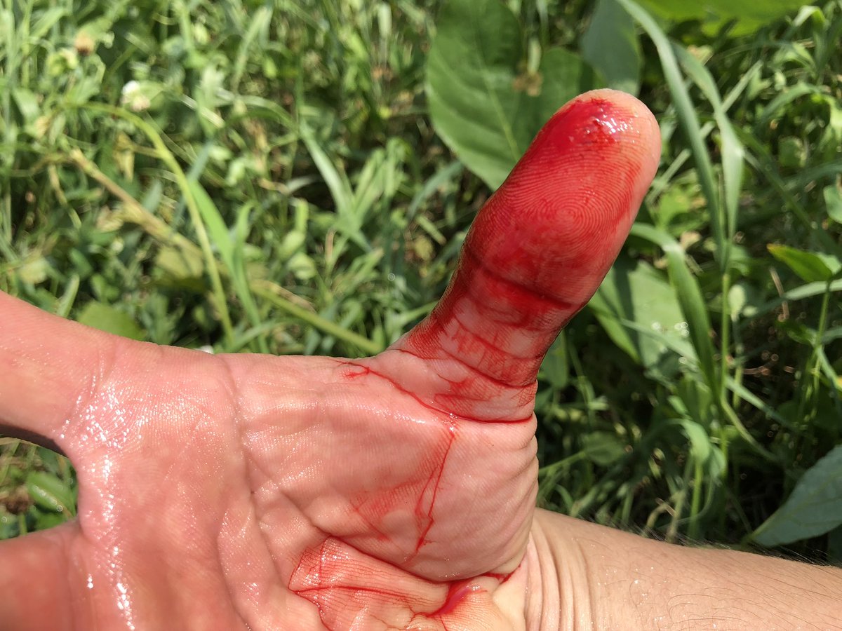 雷魚大物釣師スーパーぎょマン代々木三冠 tweet media