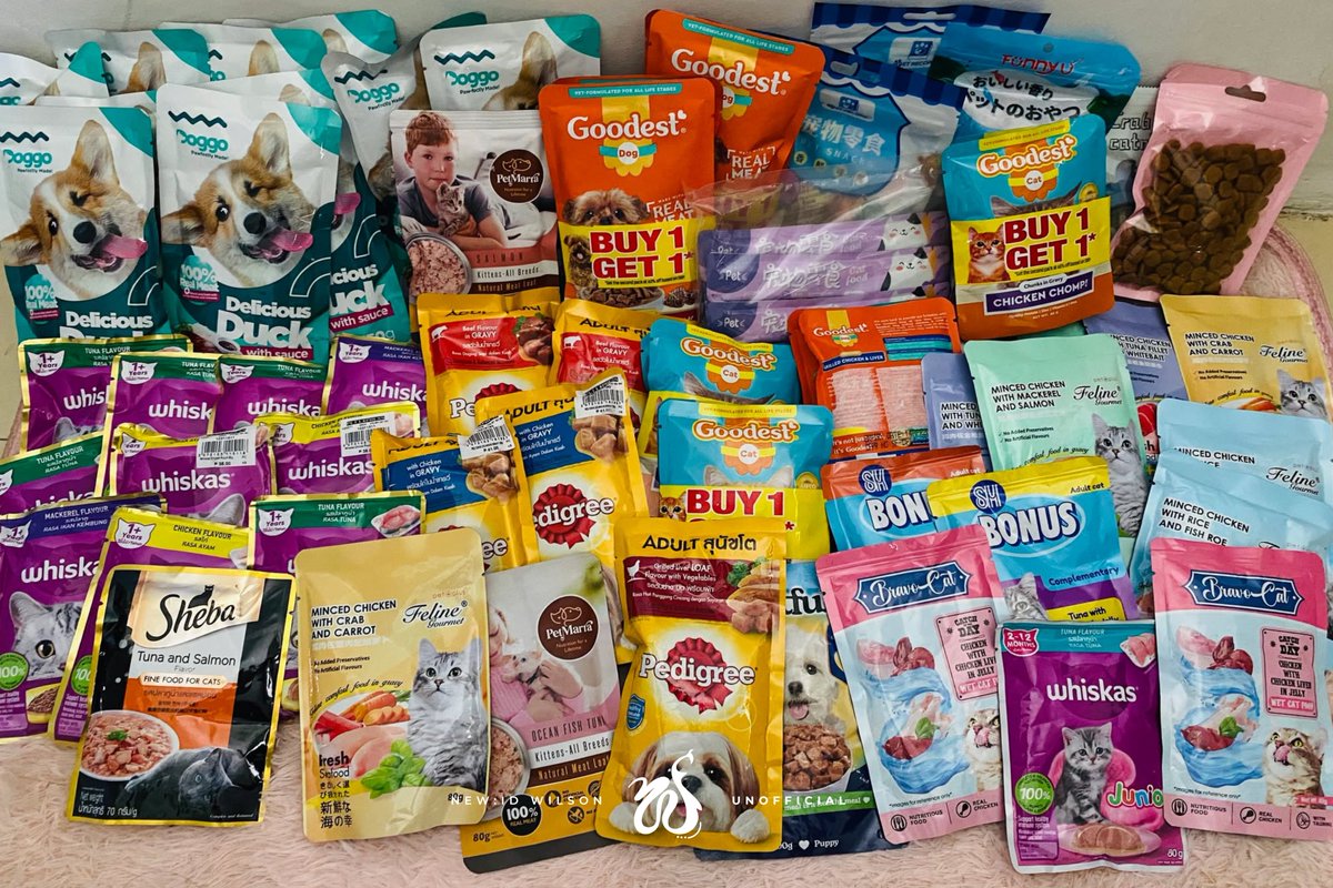wilsonarchive_'s tweet photo. [🎮] WILSON GAME

Thank you, NewDAYs, for the generous donation of dog/cat food we received yesterday. Your support means so much to our furry friends in need at the Cat House 🐶🐱

PLAYER 527 DAY 

#WilsonOnLevel24 #Wilson_Game
#NEWID_WILSON #WILSON
#New_ID @official_newID https://t.co/2o7ha57vZg