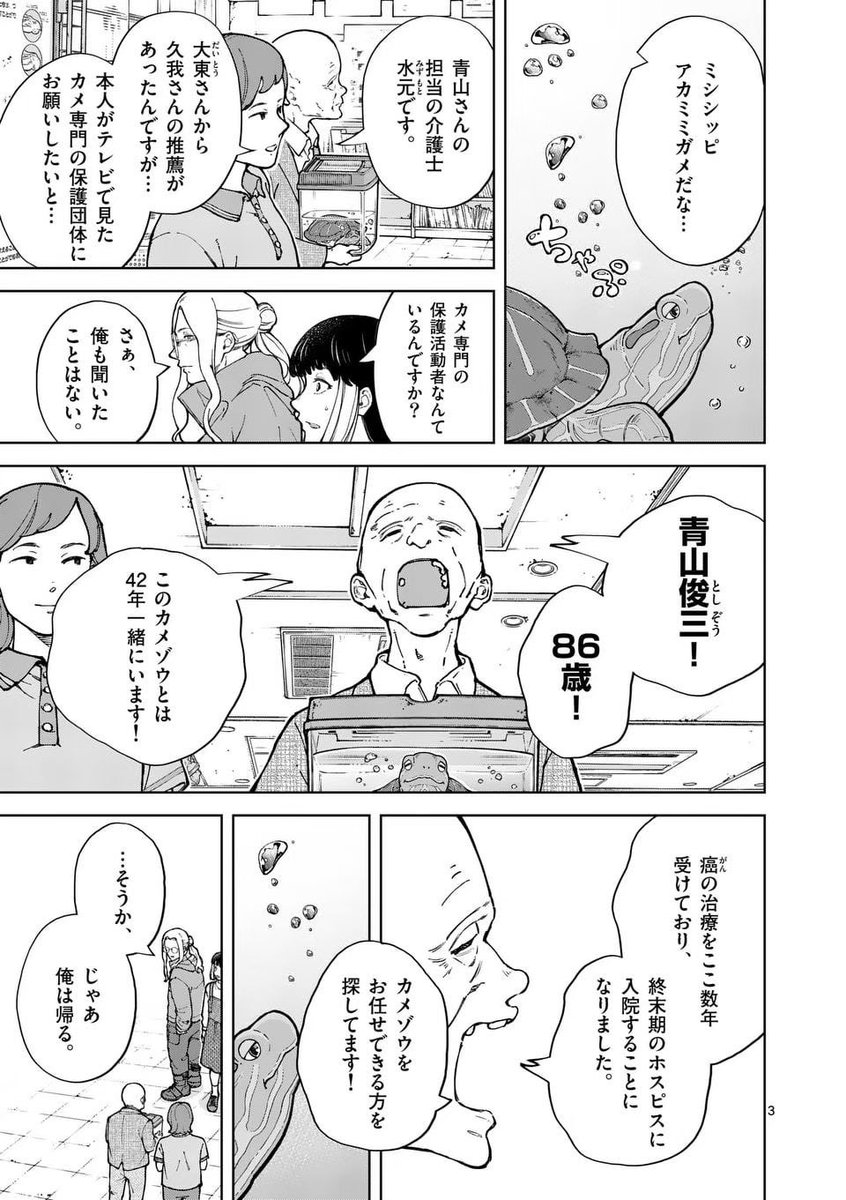 飼い主より長生きしてしまうカメとの別れ(1/5) 