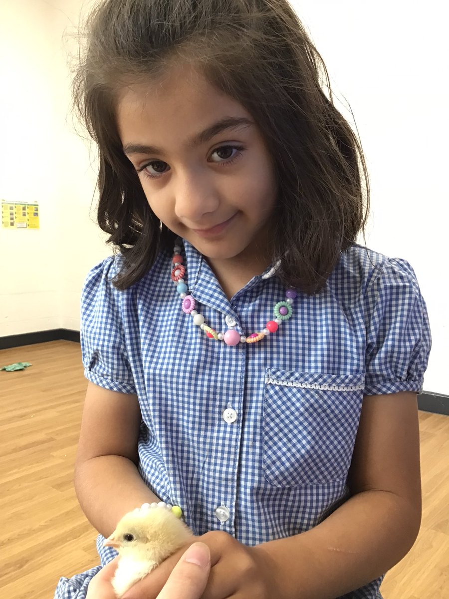 Gaskell EYFS (@gaskelleyfs) on Twitter photo The children in Reception were very excited to meet the chicks in Nursery! <a href="/GaskellPrimary/">Gaskell Primary School</a> The children in Reception were very excited to meet the chicks in Nursery! <a href="/GaskellPrimary/">Gaskell Primary School</a>