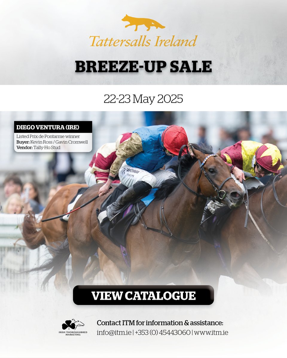 ITM (@irethoroughbred) on Twitter photo Need a reminder of what you can find at this week's <a href="/Tattersalls_ie/">Tattersalls Ireland</a> Breeze-Up Sale? 🇮🇪
Hamad Al Jehani's DIEGO VENTURA (IRE) took Thursday's Listed Prix de Pontarme at <a href="/paris_longchamp/">ParisLongchamp</a> for Wathnan Racing having been sourced from <a href="/HoStud/">Tally-Ho Stud</a> in 2024 by <a href="/annarossKRB/">anna ross</a> / <a href="/gavincromwell1/">GavinCromwell Racing</a>. Need a reminder of what you can find at this week's <a href="/Tattersalls_ie/">Tattersalls Ireland</a> Breeze-Up Sale? 🇮🇪
Hamad Al Jehani's DIEGO VENTURA (IRE) took Thursday's Listed Prix de Pontarme at <a href="/paris_longchamp/">ParisLongchamp</a> for Wathnan Racing having been sourced from <a href="/HoStud/">Tally-Ho Stud</a> in 2024 by <a href="/annarossKRB/">anna ross</a> / <a href="/gavincromwell1/">GavinCromwell Racing</a>.
