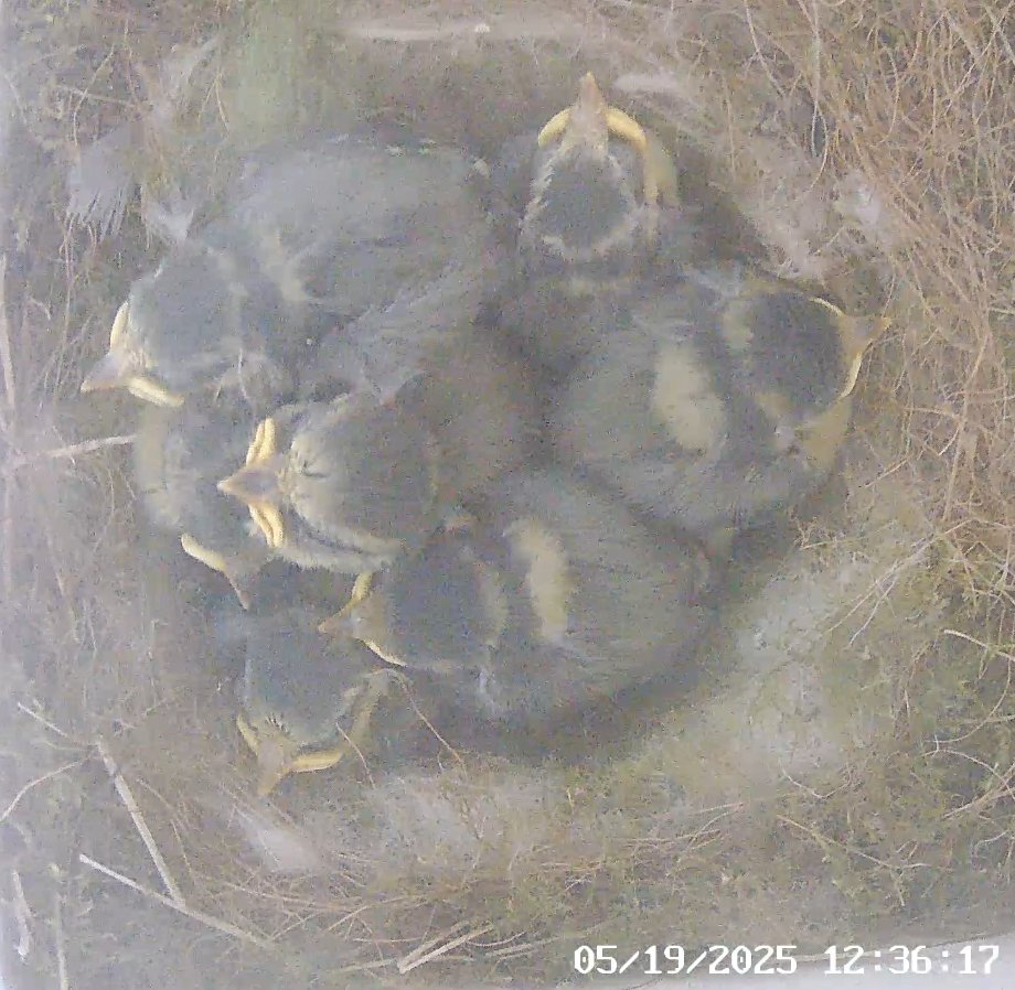 Natàlia tweet media